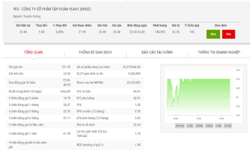 Cổ đông ngoại muốn bán hết 9,74% vốn tại YEG
