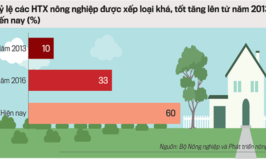 Tỷ lệ HTX xếp loại khá, tốt tăng nhanh
