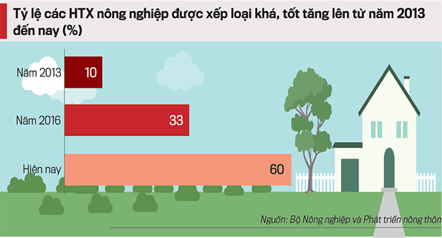 Tỷ lệ HTX xếp loại khá, tốt tăng nhanh