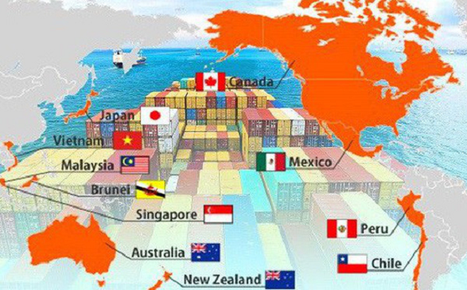 Các FTA thế hệ mới sẽ giúp Việt Nam gia tăng xuất khẩu, qua đó thúc đẩy sản xuất phát triển.