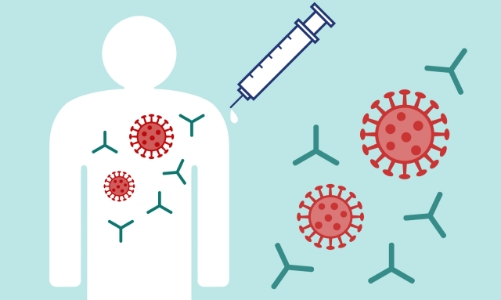 Xét nghiệm kháng thể không xác định mức độ miễn dịch với Covid-19