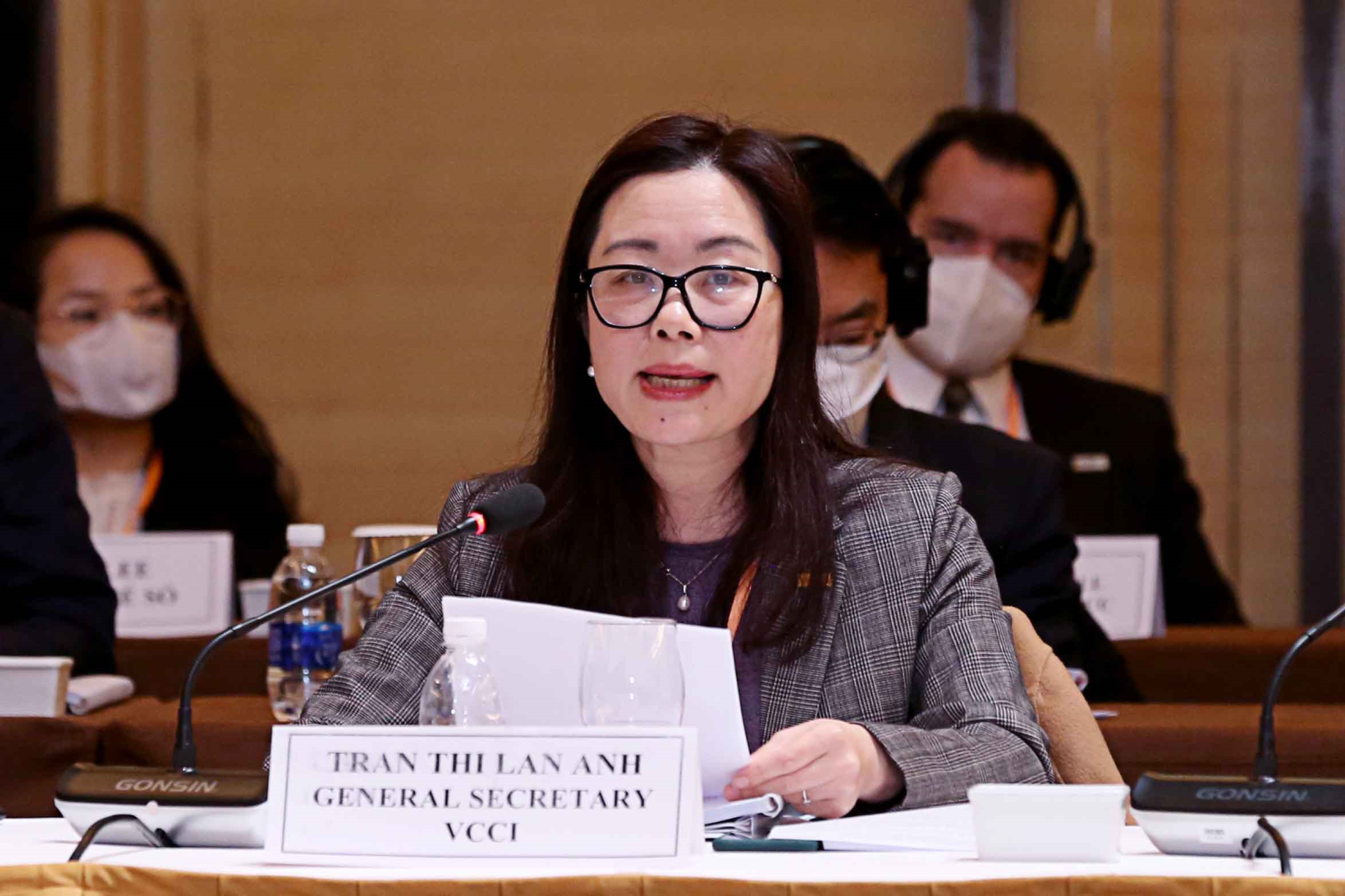 B&agrave; Trần Thị Lan Anh, Tổng Thư k&yacute; VCCI