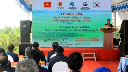 Rice value chain project for Red River Delta underway