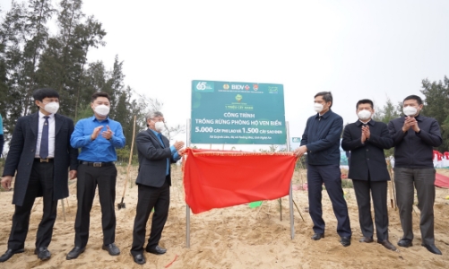 BIDV trồng 6.500 cây phòng hộ ven biển tại Nghệ An