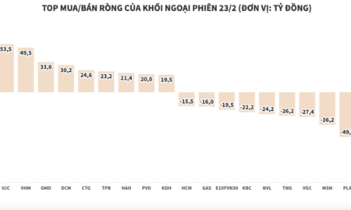 Khối ngoại liên tục gom ròng cổ phiếu DXG