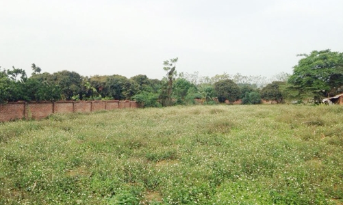 Bà Rịa - Vũng Tàu sẽ đấu giá 7 khu đất diện tích trên 228 ha trong năm 2022