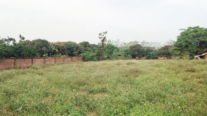 Ba Ria-Vung Tau set to auction seven land plots