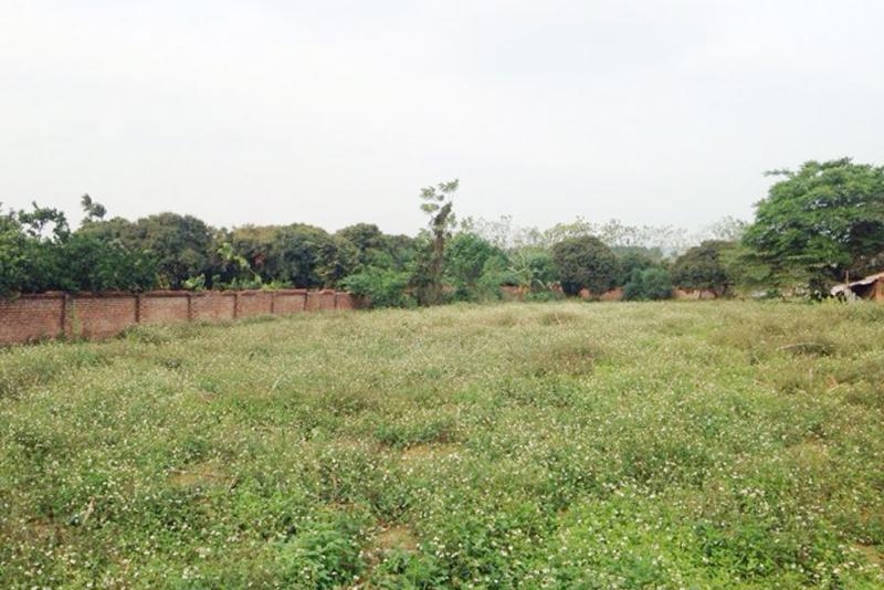 Ba Ria-Vung Tau set to auction seven land plots