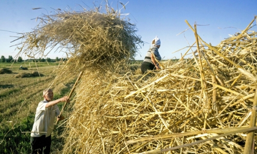 Căng thẳng leo thang ở Ukraine khiến chuỗi cung ứng gánh hậu quả