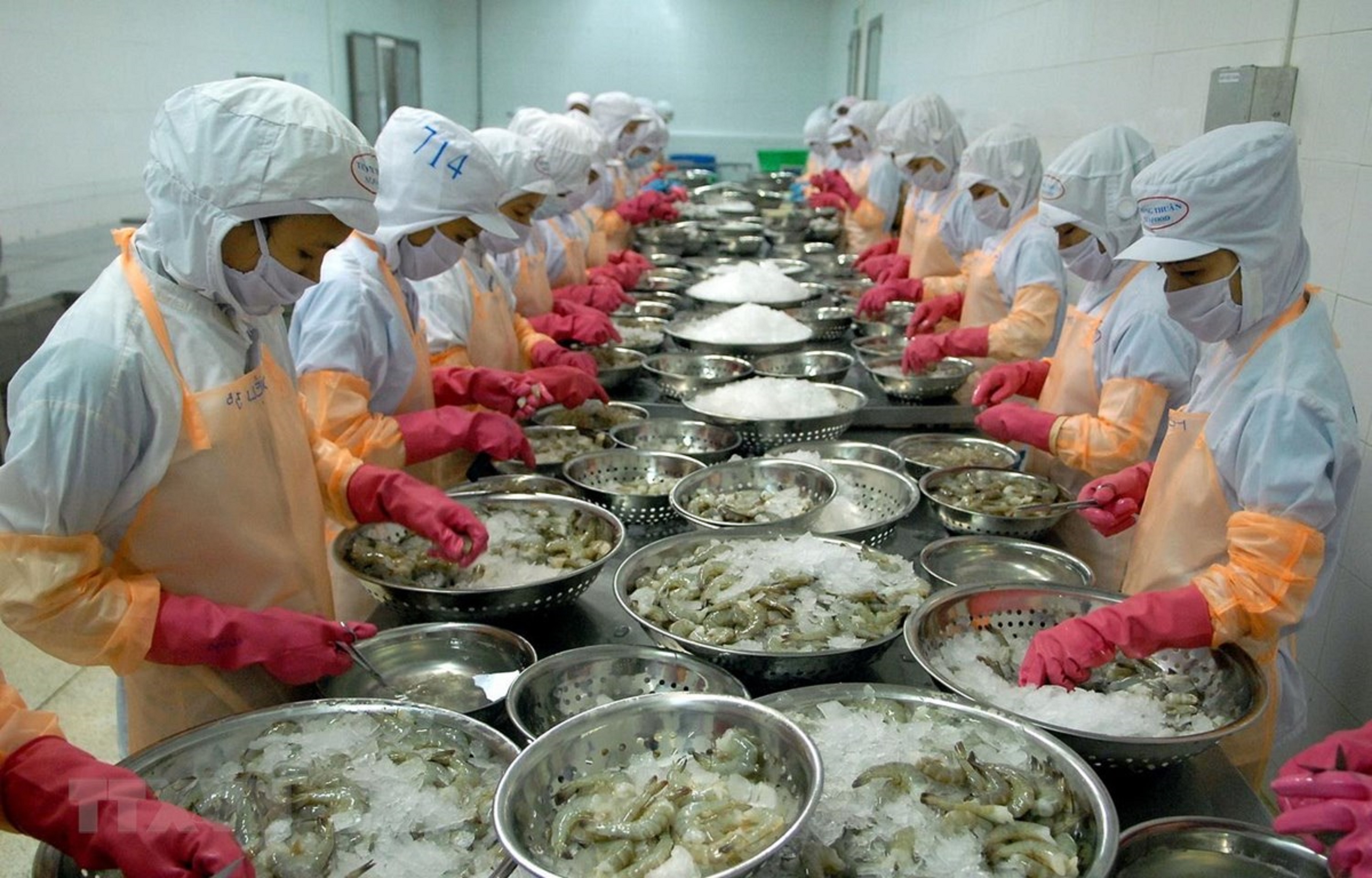 Xuất khẩu tôm nhiều cơ hội tăng trưởng.