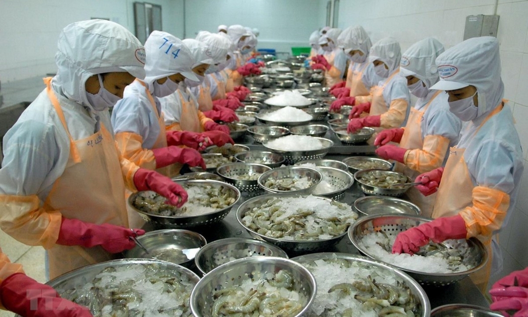 Xuất khẩu tôm nhiều cơ hội tăng trưởng.
