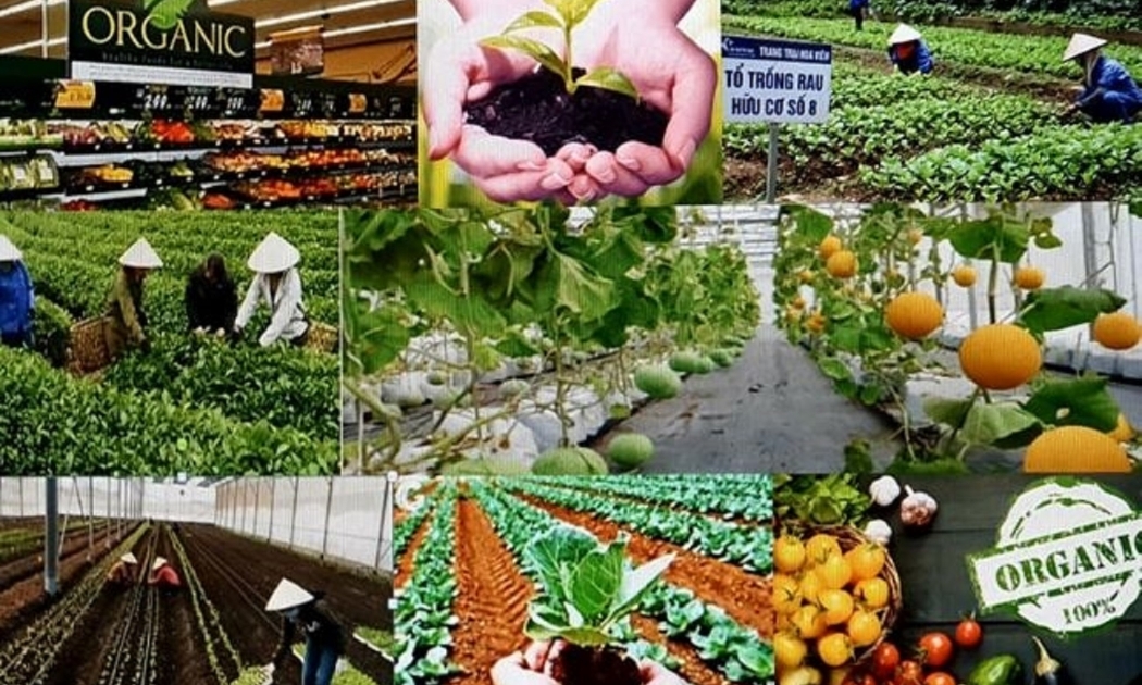 Nông nghiệp vẫn tăng sản lượng.