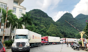 Thiết lập ngay mô hình “vùng xanh”, “luồng xanh” đẩy nhanh thông quan tại các cửa khẩu