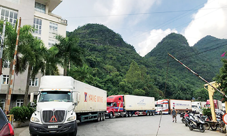 Thiết lập ngay mô hình “vùng xanh”, “luồng xanh” đẩy nhanh thông quan tại các cửa khẩu