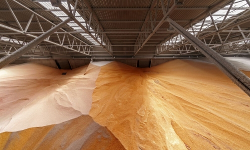 Giá hàng hoá cơ bản toàn cầu tăng mạnh nhất từ 2009