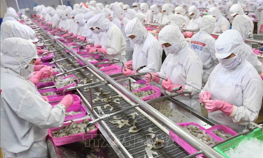 Thu ngân sách nhà nước từ ngành thuỷ sản tăng gần 43% so với cùng kỳ.