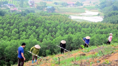 ADB invests in rainforest fund