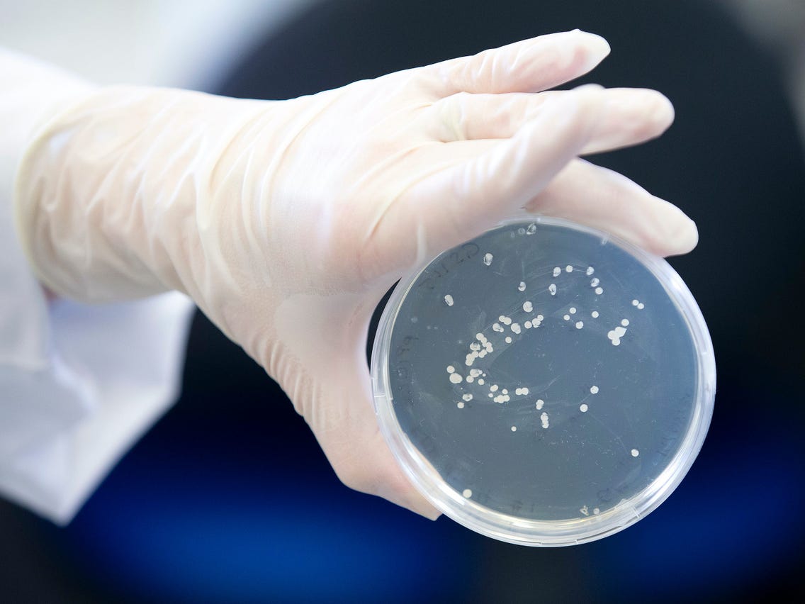 Khi giải trình tự gene của virus, kết quả của người tái nhiễm cho thấy 2 bộ gene virus ở 2 lần dương tính là khác nhau.