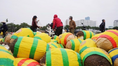 Solutions identified to ease congestion of agri products on northern border