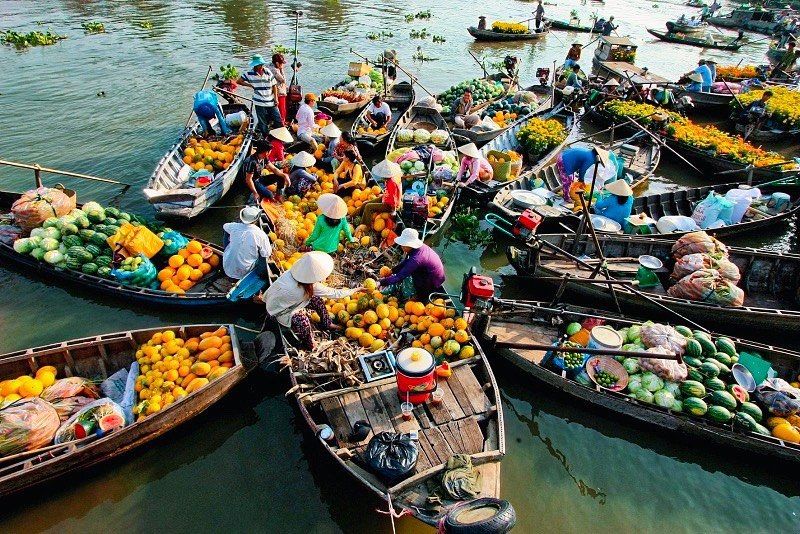 Tầm nhìn đến 2050, hệ thống đường bộ cao tốc tại vùng đồng bằng sông Cửu Long có tổng chiều dài khoảng 1.166 km, bao gồm 3 trục dọc và 3 trục ngang.
