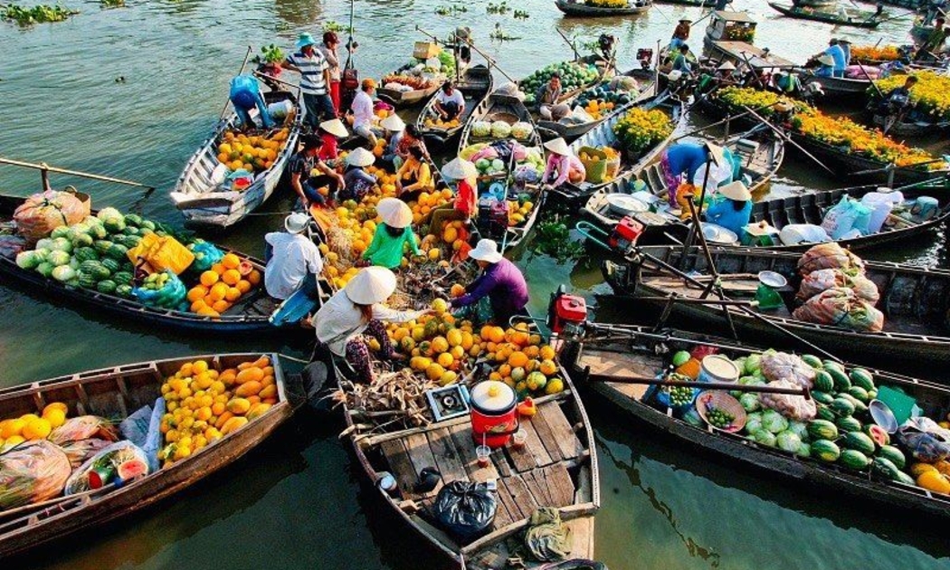 Tầm nhìn đến 2050, hệ thống đường bộ cao tốc tại vùng đồng bằng sông Cửu Long có tổng chiều dài khoảng 1.166 km, bao gồm 3 trục dọc và 3 trục ngang.