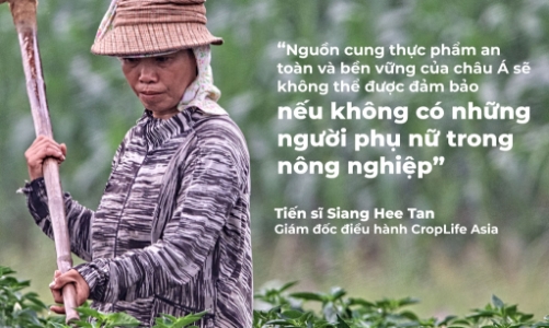 Phụ nữ đang bị đối xử bất công trong sản xuất nông nghiệp