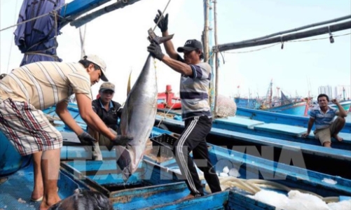 Xuất khẩu sang Nga và Ukraine giảm mạnh 