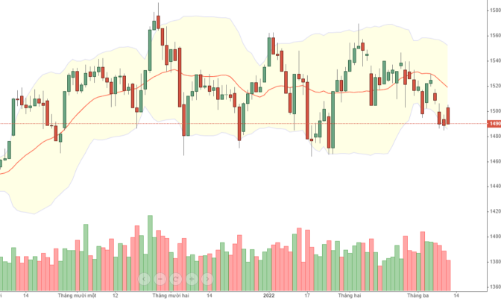 Blog chứng khoán: Cổ phiếu hàng hóa cơ bản vẫn còn sóng