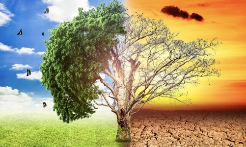 Việt Nam chi gần 6,5 tỷ USD cho vấn đề biến đổi khí hậu trong giai đoạn 2016 - 2020