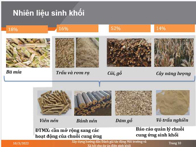 Tiềm năng kỹ thuật của điện sinh khối ở Việt Nam là hơn 5.300MW.