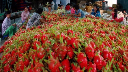 Agri exports to shift from border trade to official quotas