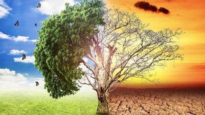 Spending on climate change response continues to rise