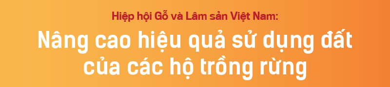 VnEconomy