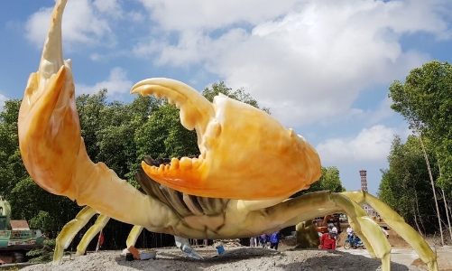 Lần đầu tiên có “Ngày hội cua” tại Việt Nam