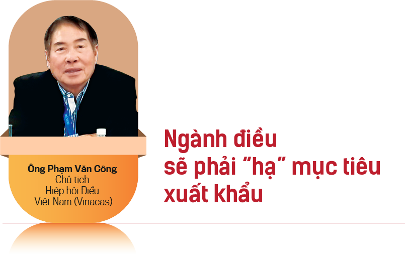 VnEconomy