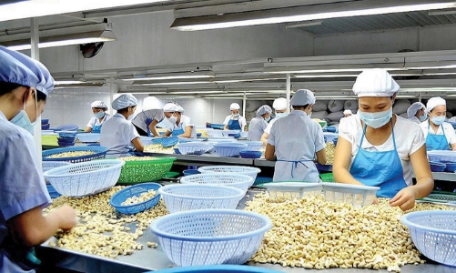 Vụ rủi ro xuất khẩu hạt điều: Vì sao không dùng phương thức thanh toán ít rủi ro?