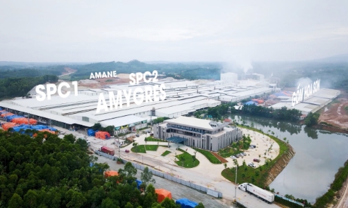 Amy Grupo thần tốc khẳng định thương hiệu trên thị trường quốc tế