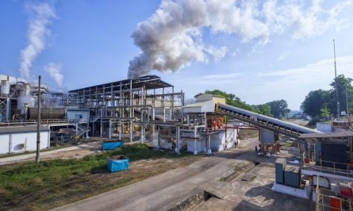 Phát triển năng lượng sinh học còn nhiều rào cản