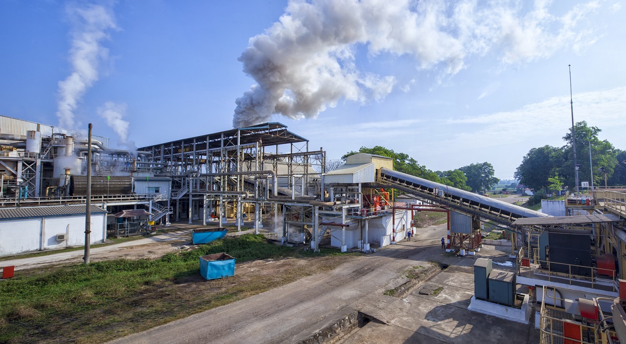 Điện sinh khối có nhiều dư địa phát triển.