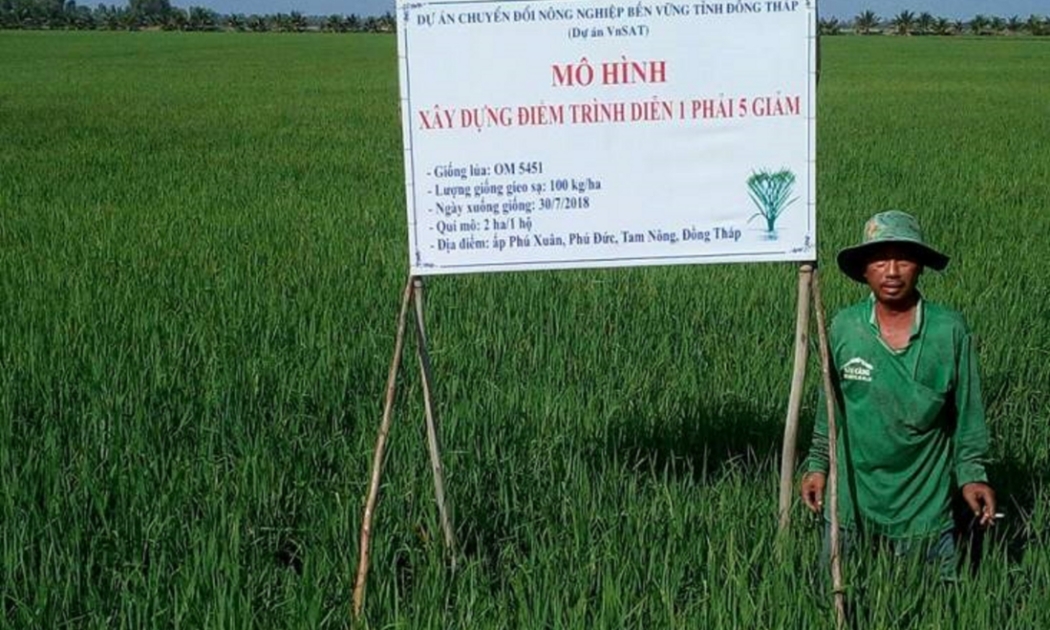 Dự án VnSAT nâng cao chuỗi giá trị lúa gạo
