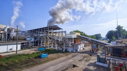 GIZ helping to develop bioenergy