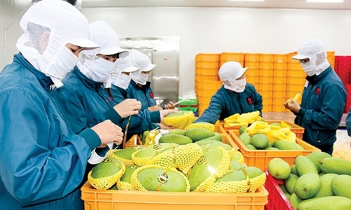 Xuất khẩu sang Trung Đông: Thị trường 400 triệu dân chưa được khai thác hiệu quả