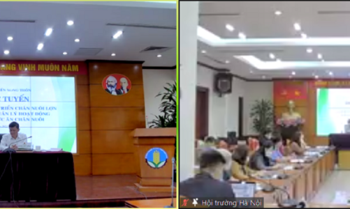 Ngành chăn nuôi ứng phó với “bão giá” nguyên liệu thức ăn 