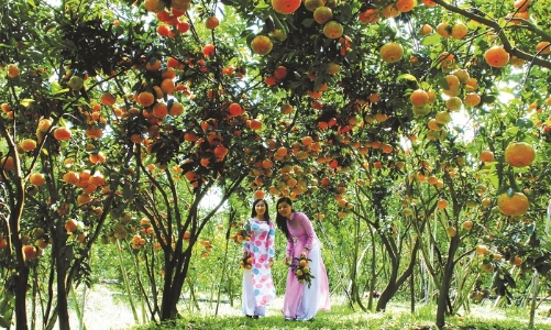 Sẽ “hồi sinh” trục du lịch thành phố Hồ Chí Minh và 13 tỉnh đồng bằng sông Cửu Long 