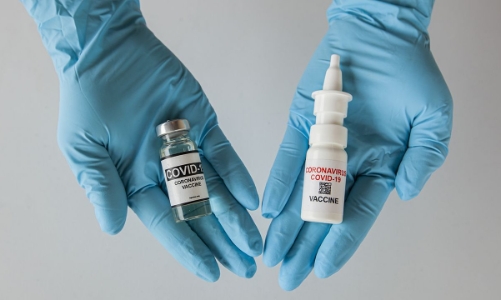 Những vaccine đường mũi nào đã sẵn sàng để đưa vào sử dụng?