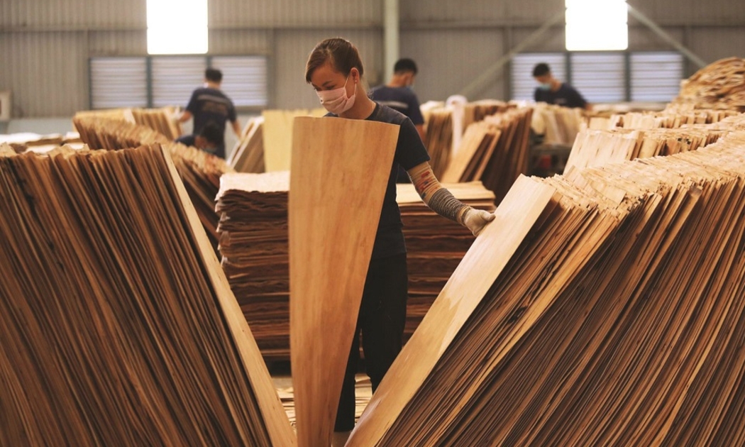 4 sản phẩm gỗ xuất sang Hoa Kỳ có nguy cơ bị áp dụng biện pháp chống lẩn tránh, gian lận xuất xứ.