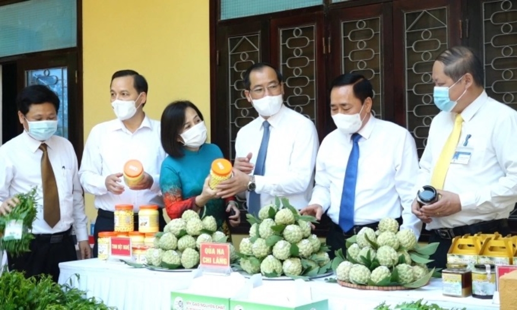 Quả na Chi Lăng là một trong những mặt hàng nông sản của tỉnh Lạng Sơn có giá trị xuất khẩu cao. (Ảnh minh họa).