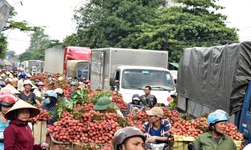 Hơn 850 tỷ đồng nâng cấp Quốc lộ 31 qua 