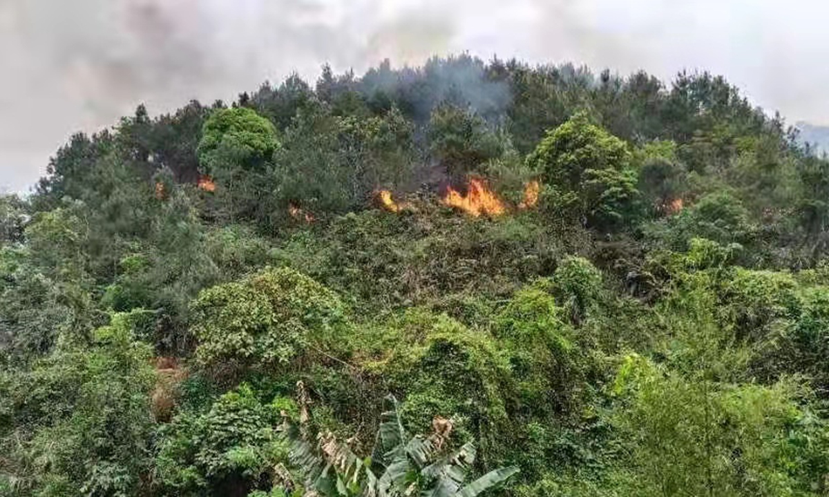 Hiện trường vụ rơi m&aacute;y bay của China Eastern ở quận Tengxian, Khu tự trị d&acirc;n tộc Choang, tỉnh Quảng T&acirc;y, miền Nam Trung Quốc ng&agrave;y 21/3 - Ảnh: T&acirc;n Hoa x&atilde;
