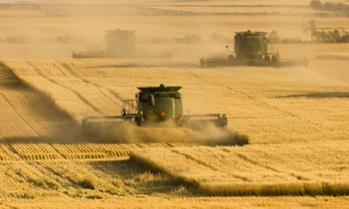 Giá phân bón tăng “dựng đứng”, hàng chục nước sẽ rơi vào “thảm cảnh” thiếu lương thực?